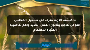 «اكتشف الآن» تعرف على تشكيل المجلس القومي للأجور بقانون العمل الجديد وأهم تفاصيله المثيرة للاهتمام